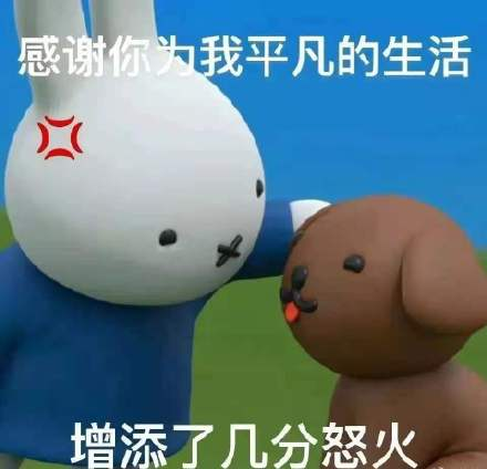 為什么不建議家境普通的學(xué)生讀商科？