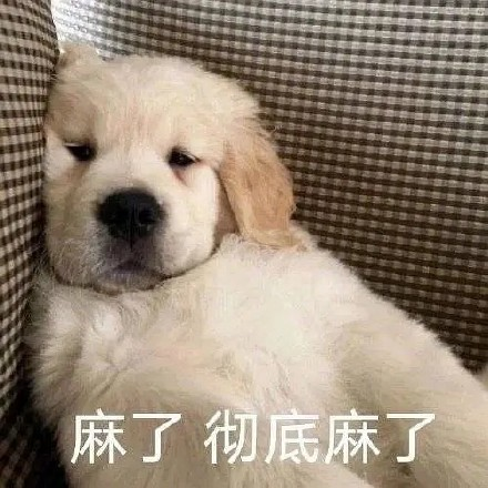 留學(xué)生10大最難學(xué)專(zhuān)業(yè)，金融竟然是最后一名？