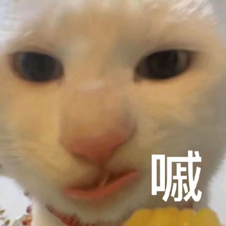 留學(xué)生10大最難學(xué)專(zhuān)業(yè)，金融竟然是最后一名？