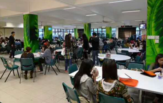 選擇香港教育大學有哪些優(yōu)勢呢？如何申請香港教育大學呢？