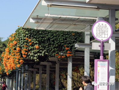 1個(gè)月倒計(jì)時(shí)！香港八大23Fall 3月截止申請(qǐng)的專(zhuān)業(yè)有哪些？