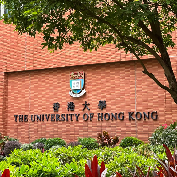 香港大學25Fall新增11個專業(yè)，盤點申請要求！